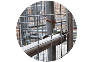 Sie suchen einen Maler in Ortenberg? Kontaktieren Sie Malerbetrieb Müller